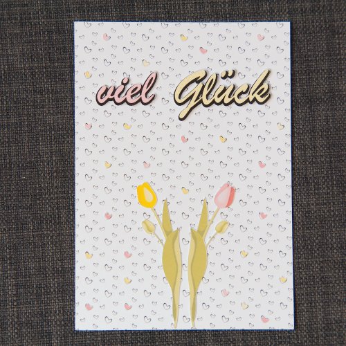 Tulpen viel Glück